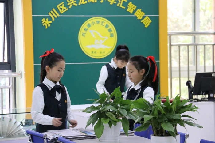 水稻种植、职业体验……重庆市永川区兴龙湖小学这样开展劳动教育