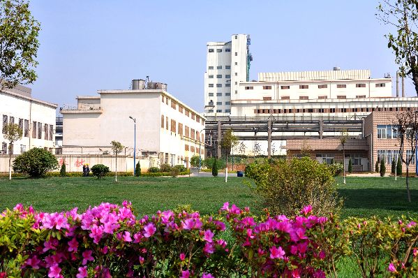 践行绿色发展 坚守初心使命 ——驰宏综合利用“节能减排”工作纪实 践行绿色发展 坚守初心使命 ——驰宏综合利用“节能减排”工作纪实