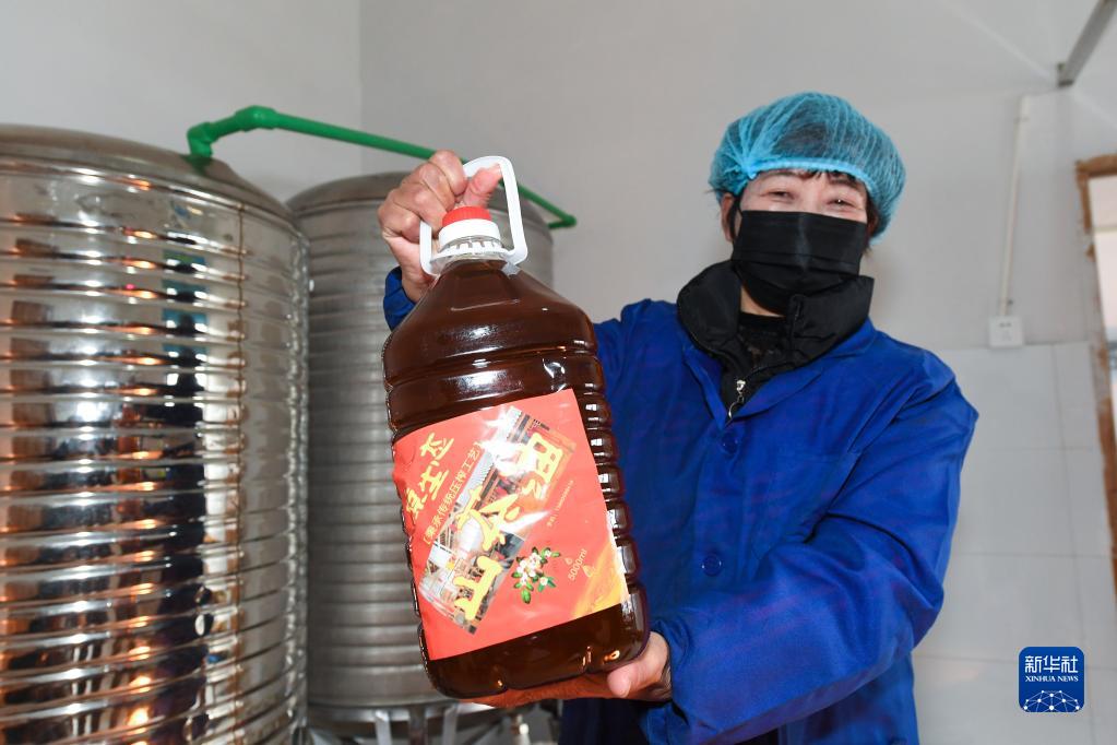 浙江建德：特色油茶产业助力共同富裕