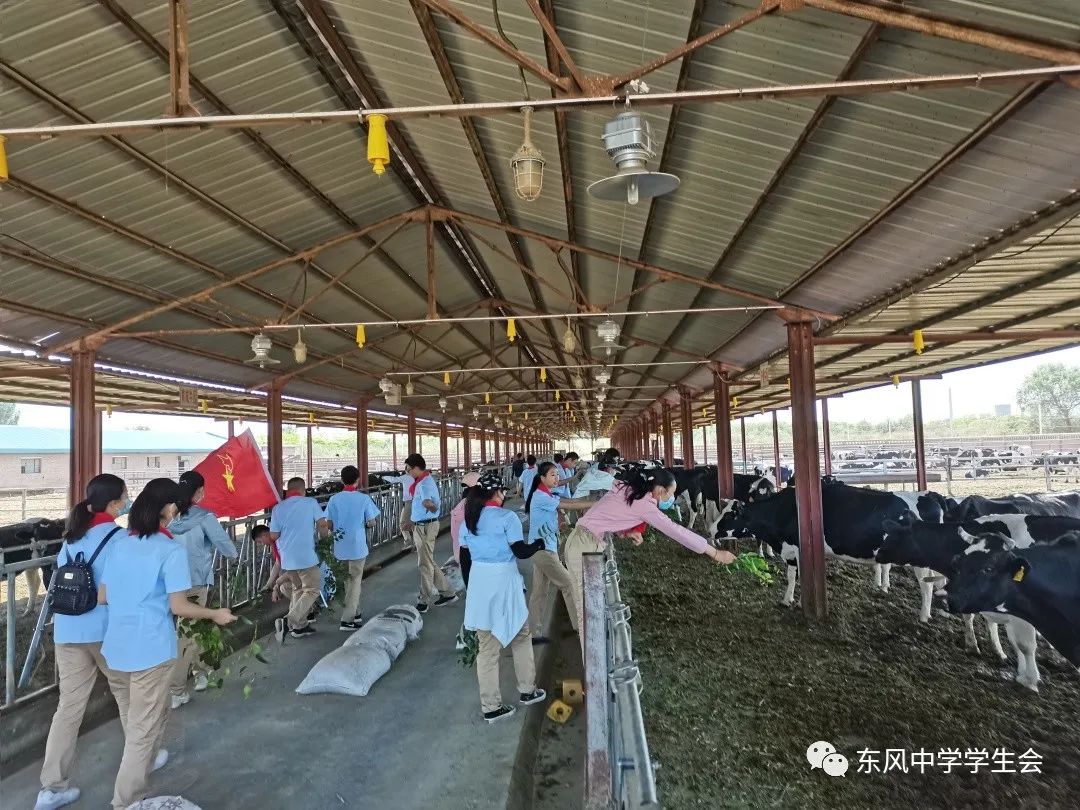 酒泉卫星发射中心东风中学组织庆六一劳动实践活动