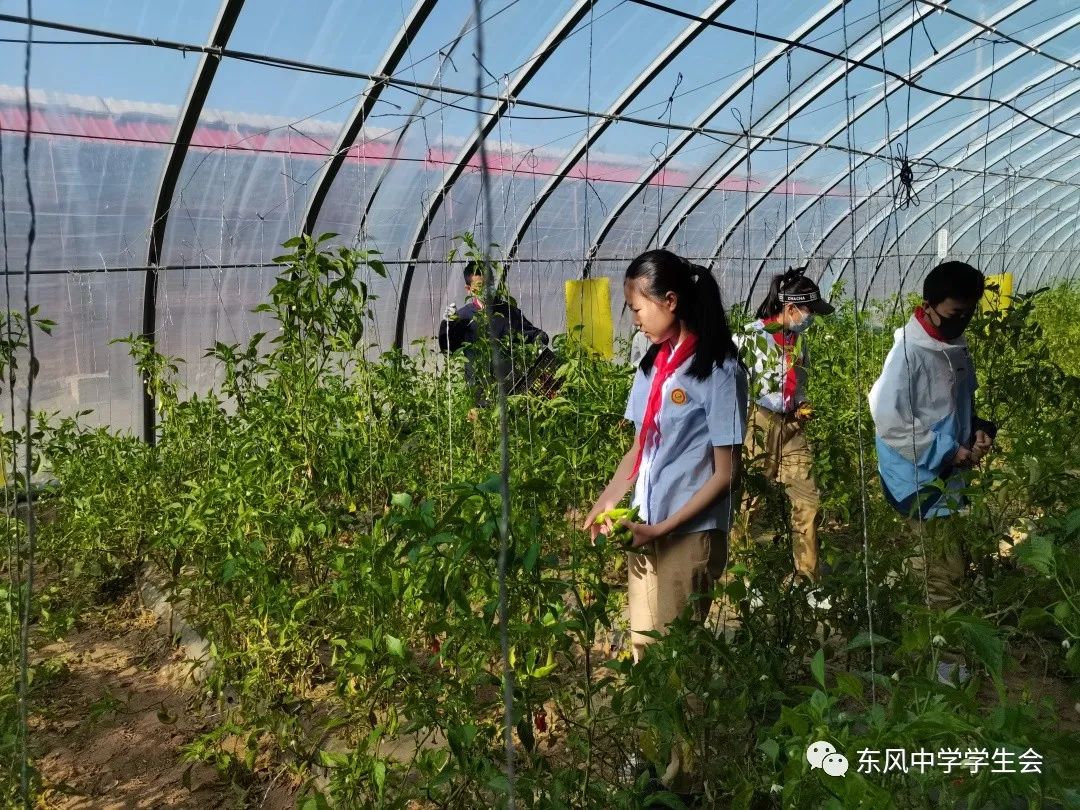 酒泉卫星发射中心东风中学组织庆六一劳动实践活动