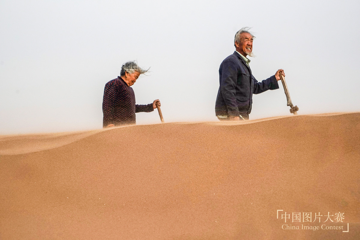 78岁老人驻守沙漠22载 治沙造林8000多亩