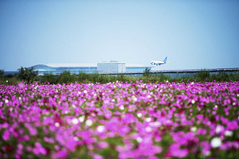 空港新城功能区