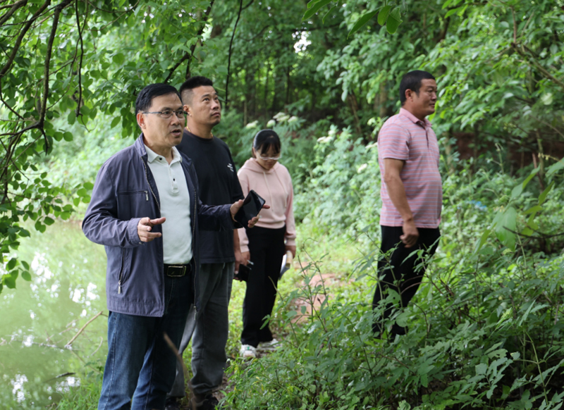 重庆龙集镇：专家实地考察 为人居环境整治“把脉号诊”