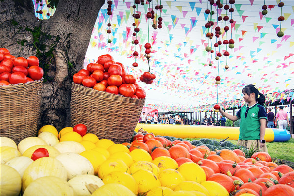 重庆·渝北第五届番茄文化节将于7月8日启幕