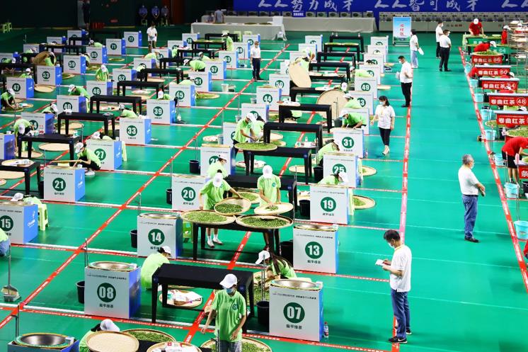 2022年全国职业院校技能大赛中职组手工制茶赛项在重庆永川举行