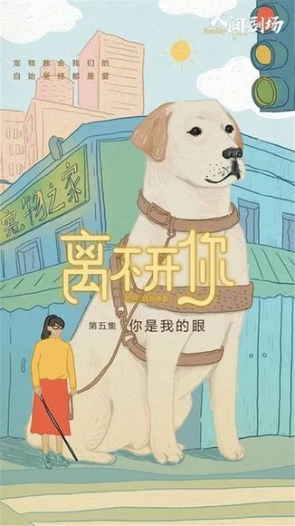 京声京视|纪录片《离不开你》:以写实派白描手法 讲述人宠双向治愈故事