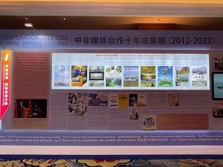 胡正荣:中非媒体如何合作触达更多受众?