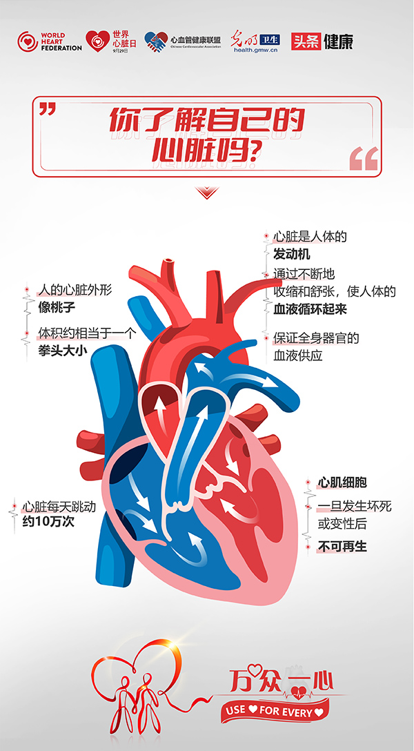 2022世界心脏日 | 如何拥有更年轻的心脏？与您一起来谈“心”