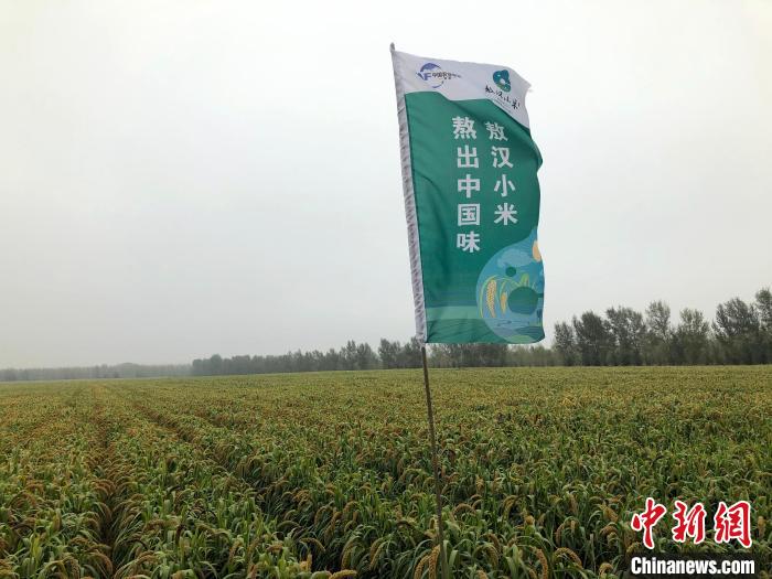中国旱作农业源自何处？专家称至少包括黄河西辽河两个起源中心