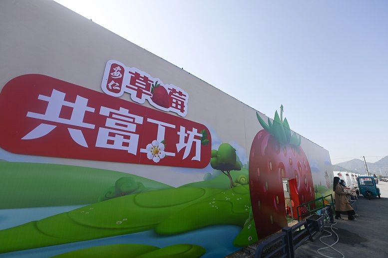 半月谈 | 中国式现代化实践·长三角篇 半月谈 | 中国式现代化实践·长三角篇