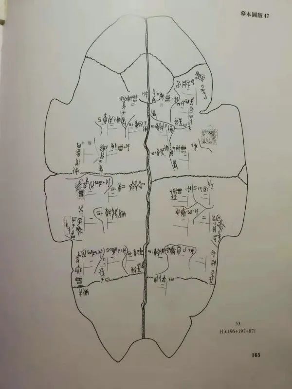 刘一曼：一片甲骨何以“惊天下”？