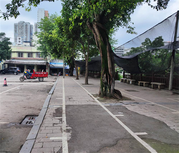 重庆永川：党支部建进小区后 矛盾丛生的川东市场开起了便民早市