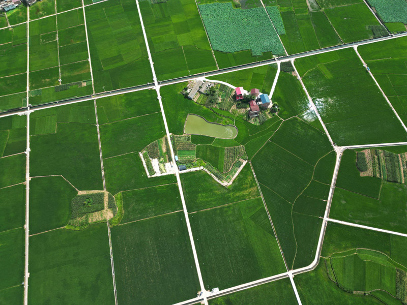 【见微调研丨乡村智理72计】淡出视线的5G 在智能农田领域正焕发生机