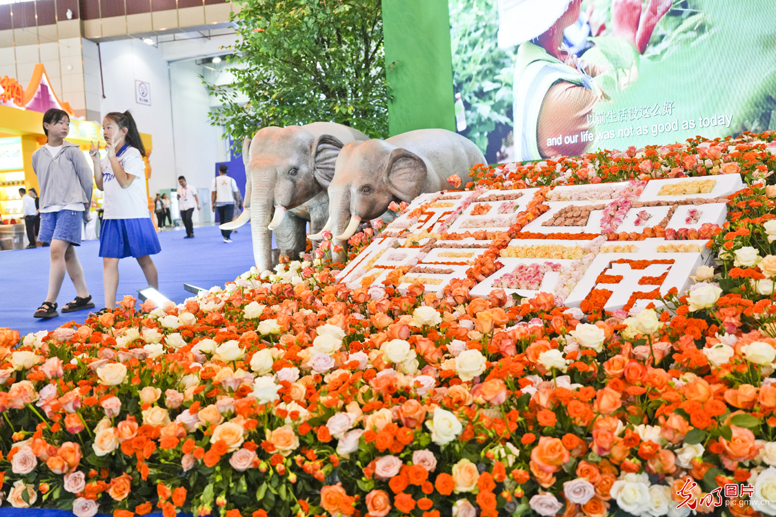 【消费提振】第七届中国—南亚博览会在昆明开幕