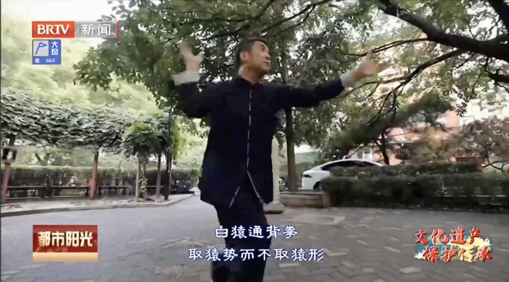 【文化遗产 保护传承】白猿通背拳传承人张斌——守正创新传承中国功夫 【文化遗产 保护传承】白猿通背拳传承人张斌——守正创新传承中国功夫