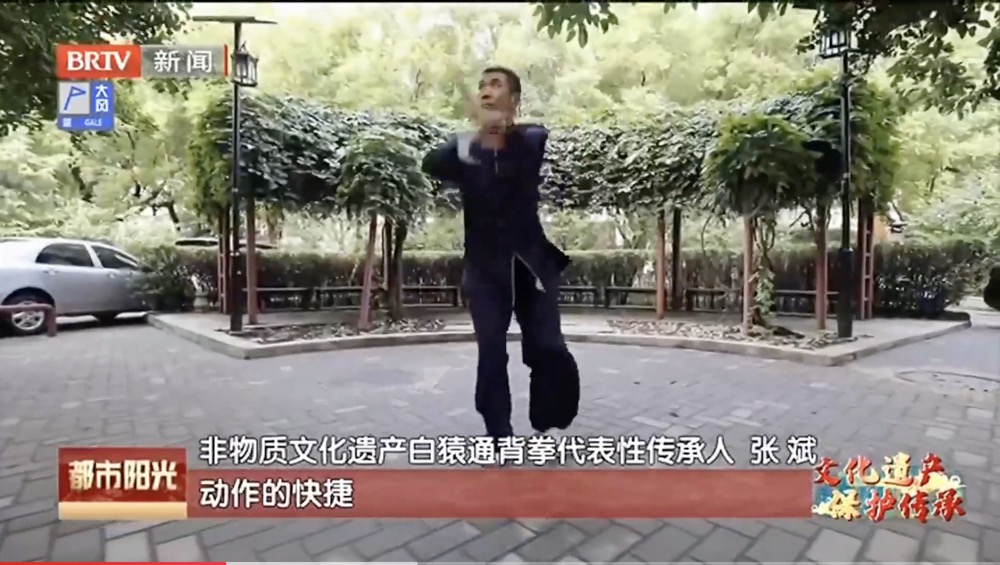 【文化遗产 保护传承】白猿通背拳传承人张斌——守正创新传承中国功夫 【文化遗产 保护传承】白猿通背拳传承人张斌——守正创新传承中国功夫