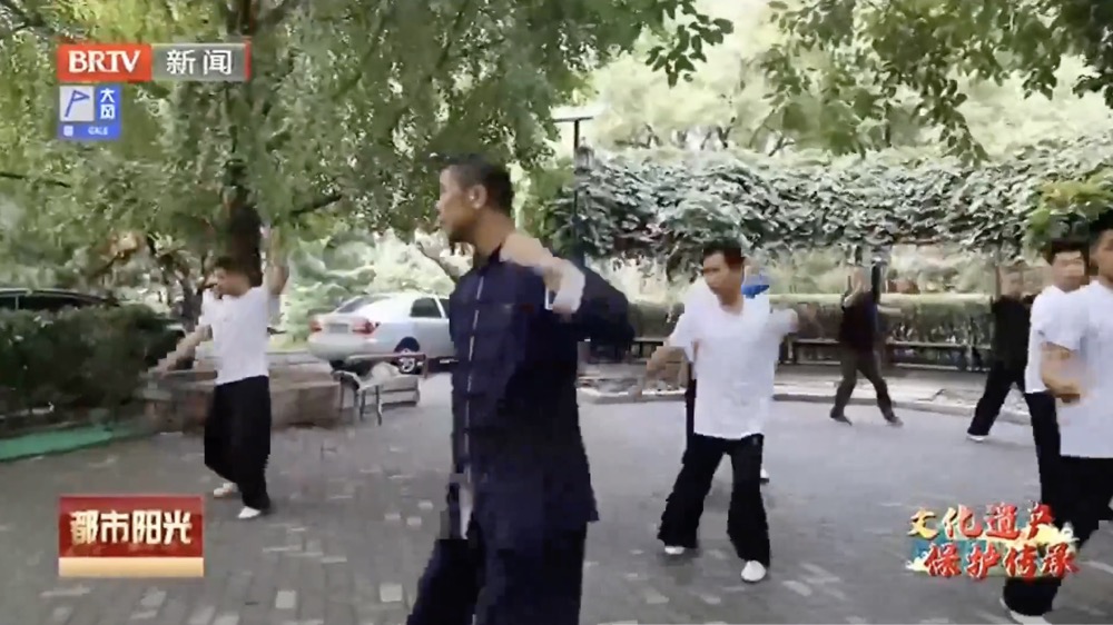 【文化遗产 保护传承】白猿通背拳传承人张斌——守正创新传承中国功夫 【文化遗产 保护传承】白猿通背拳传承人张斌——守正创新传承中国功夫