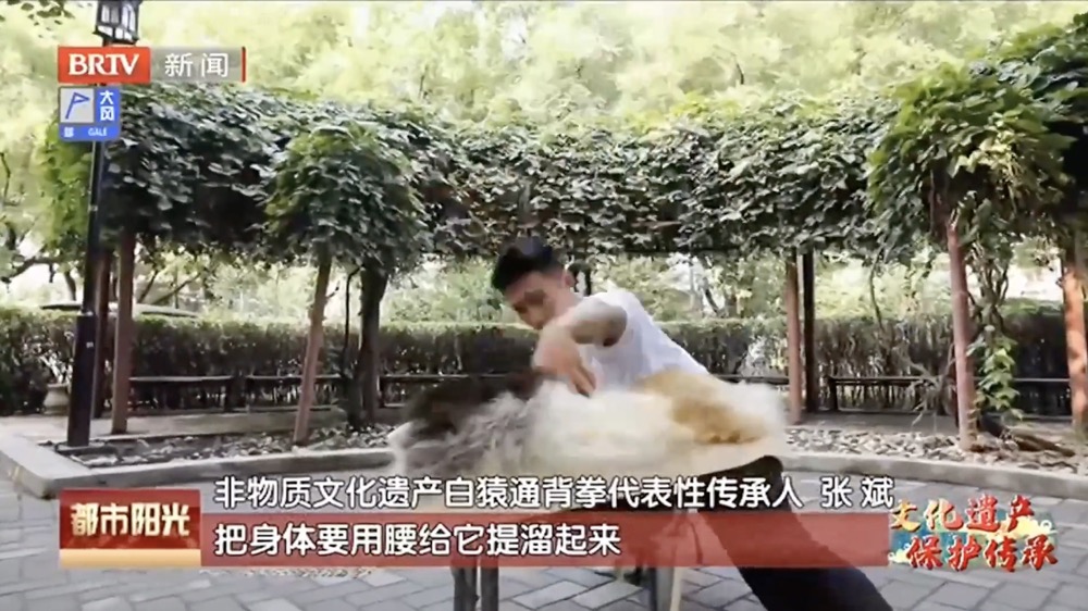 【文化遗产 保护传承】白猿通背拳传承人张斌——守正创新传承中国功夫 【文化遗产 保护传承】白猿通背拳传承人张斌——守正创新传承中国功夫