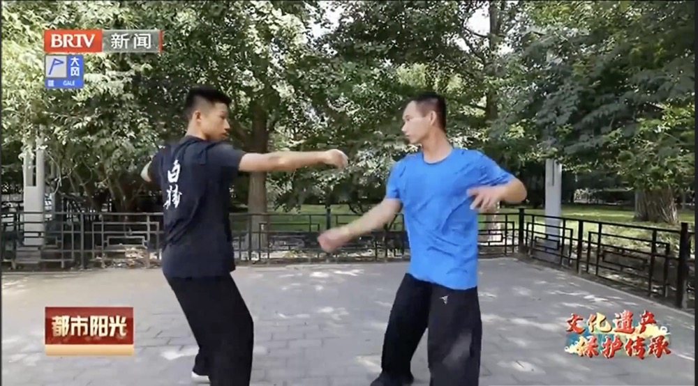 【文化遗产 保护传承】白猿通背拳传承人张斌——守正创新传承中国功夫 【文化遗产 保护传承】白猿通背拳传承人张斌——守正创新传承中国功夫