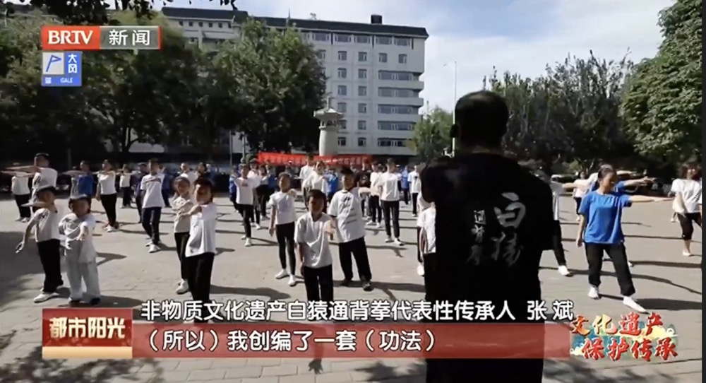 【文化遗产 保护传承】白猿通背拳传承人张斌——守正创新传承中国功夫 【文化遗产 保护传承】白猿通背拳传承人张斌——守正创新传承中国功夫