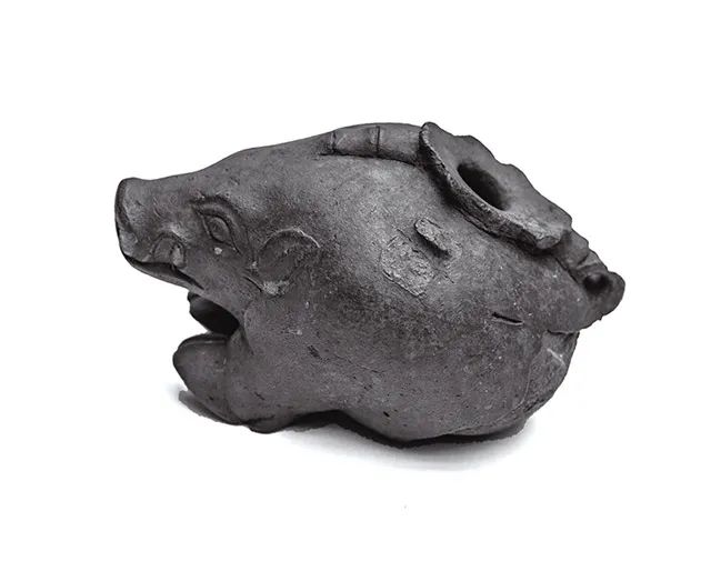 漫步西辽河畔 对话亘古文明 | 哈民遗址:西辽河文明的华彩乐章