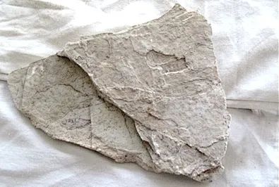 西辽河核心流域:古城遗址的文明印记