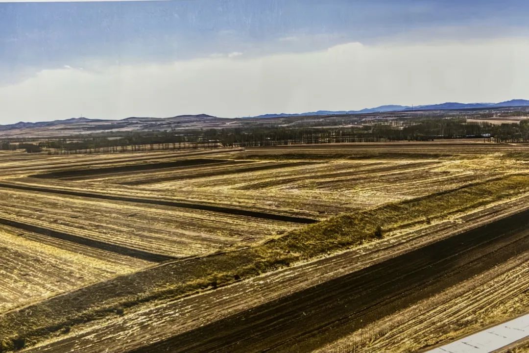 揭秘西辽河文化“家底”,让文脉通古今!(二)