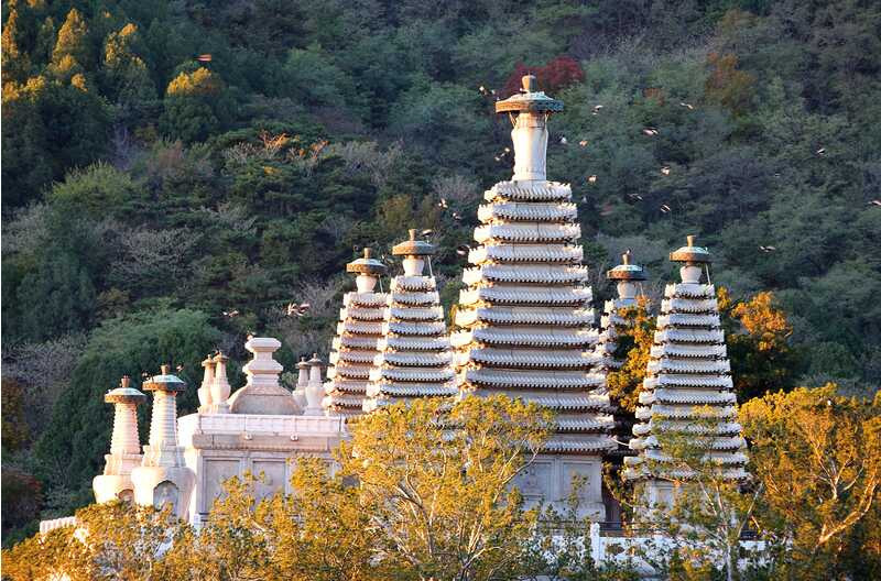 北京在行动丨西山最美古寺，20多年来首次“封闭修缮”