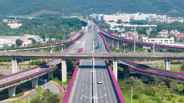 肇庆“空中花廊”惊艳亮相！位置就在→