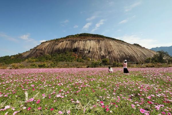 肇庆历史文化知多少