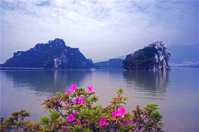 书法家刘金鹏图片