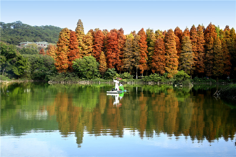 这有一份肇庆观鸟攻略,请查收! 这有一份肇庆观鸟攻略,请查收!