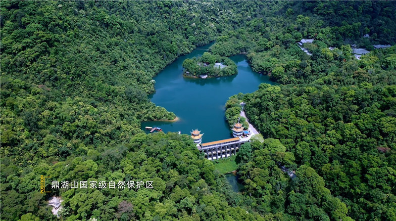 这有一份肇庆观鸟攻略,请查收! 这有一份肇庆观鸟攻略,请查收!