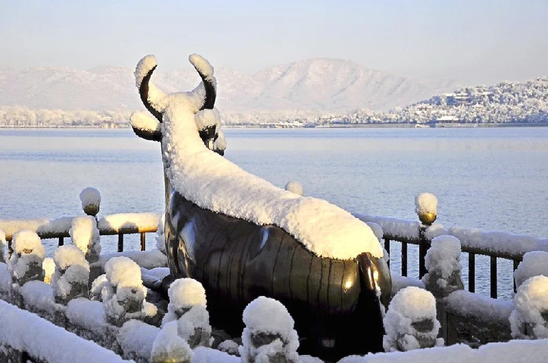 画里京城丨下雪了！最新出炉的北京雪景图，邀您欣赏