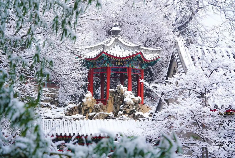 画里京城丨下雪了！最新出炉的北京雪景图，邀您欣赏