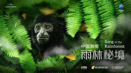 《中国海南·雨林秘境》：是海南热带雨林的故事，更是人与自然的故事