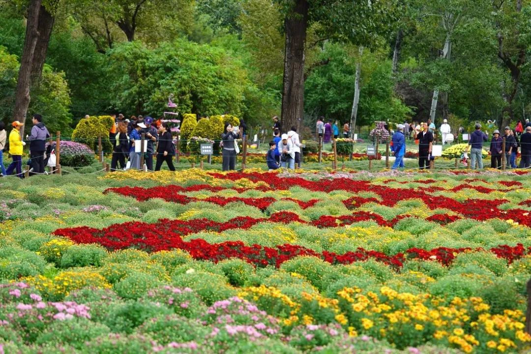 绿隔公园服务建设升级，中秋国庆双节游客众多