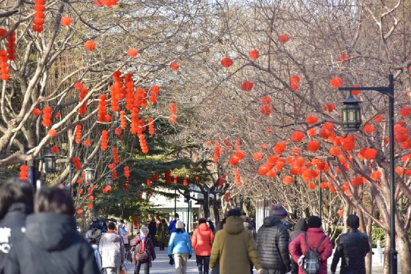 春节游玩攻略！北京市属公园80余项春节游园活动精彩纷呈