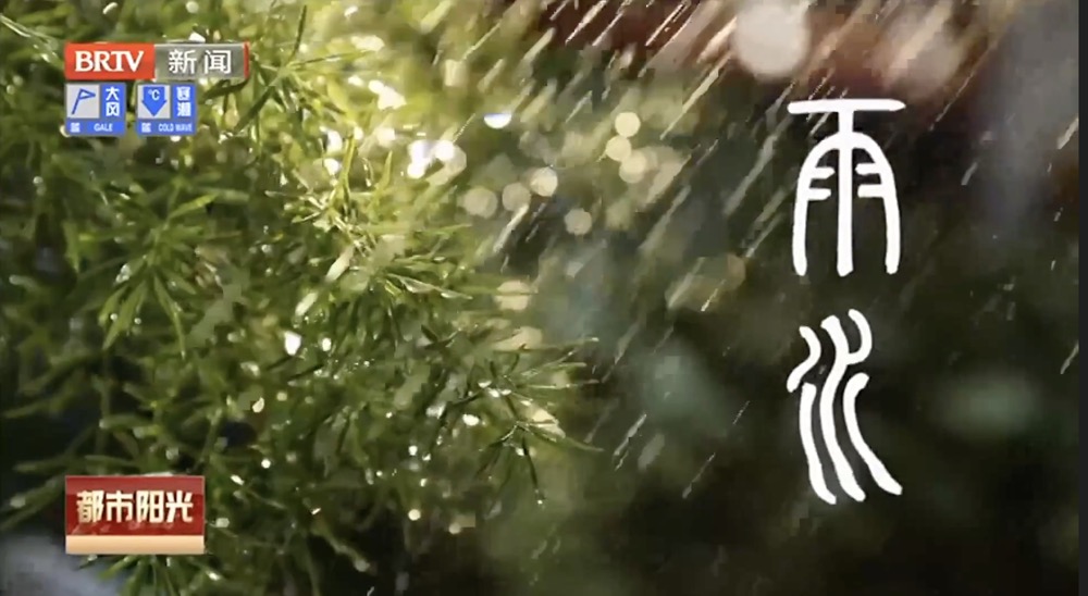 少年“节气”说——雨水润草木 清供案头春 少年“节气”说——雨水润草木 清供案头春