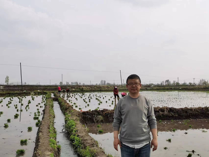 梁洪涛：在家乡的田野上，绘就种植新图景