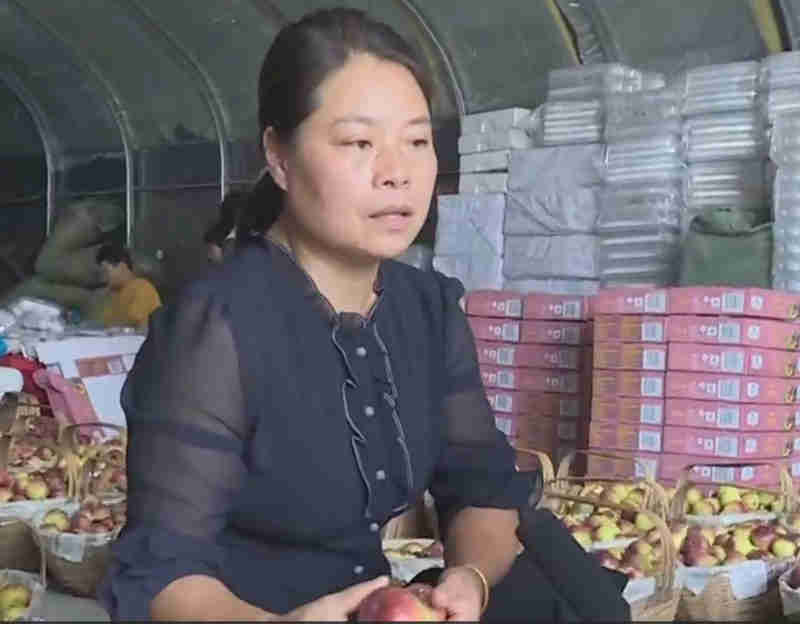 洪卫平:关注产业发展,让无花果变为“致富果” 洪卫平:关注产业发展,让无花果变为“致富果”