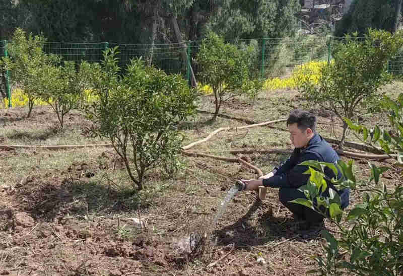 蒋坪平：勇挑重担，助力家乡焕新颜