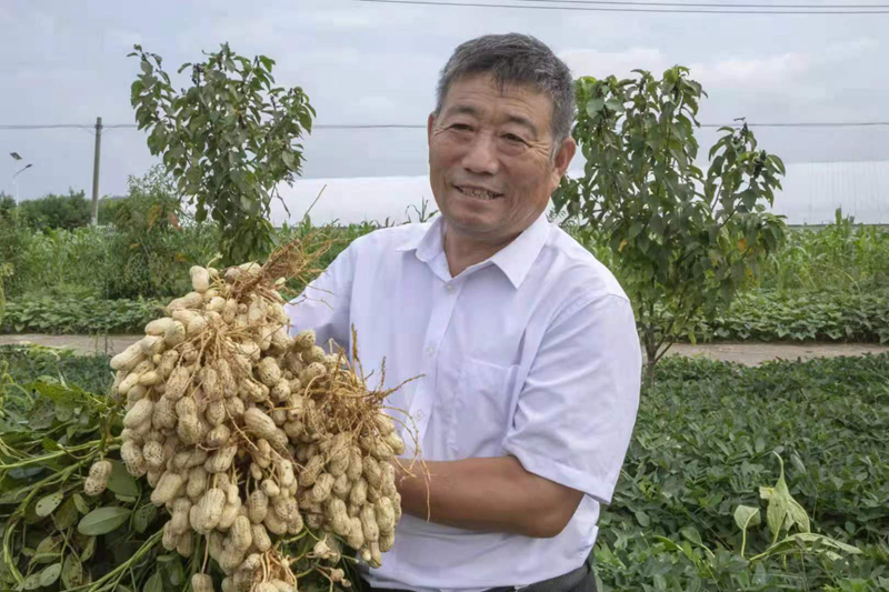 戴子星：葫芦藤上结西瓜，育出乡村振兴“甜滋味”