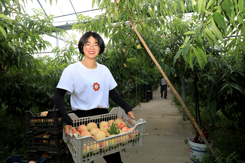 陈燕：“桃花源”里种蜜桃，甜蜜日子助振兴