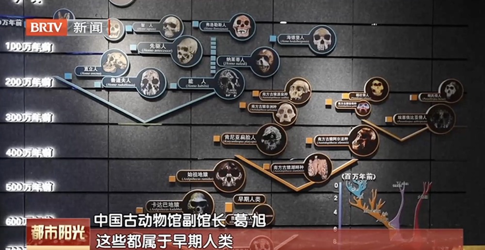 【建设博物馆之城】博物馆有秘密:在中国古动物馆探索生命演化奥秘 【建设博物馆之城】博物馆有秘密:在中国古动物馆探索生命演化奥秘