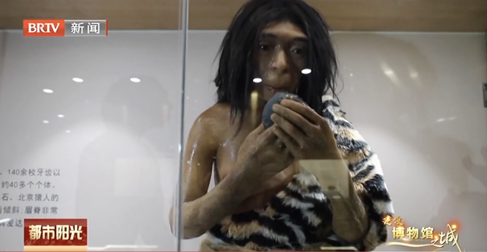 【建设博物馆之城】博物馆有秘密:在中国古动物馆探索生命演化奥秘 【建设博物馆之城】博物馆有秘密:在中国古动物馆探索生命演化奥秘