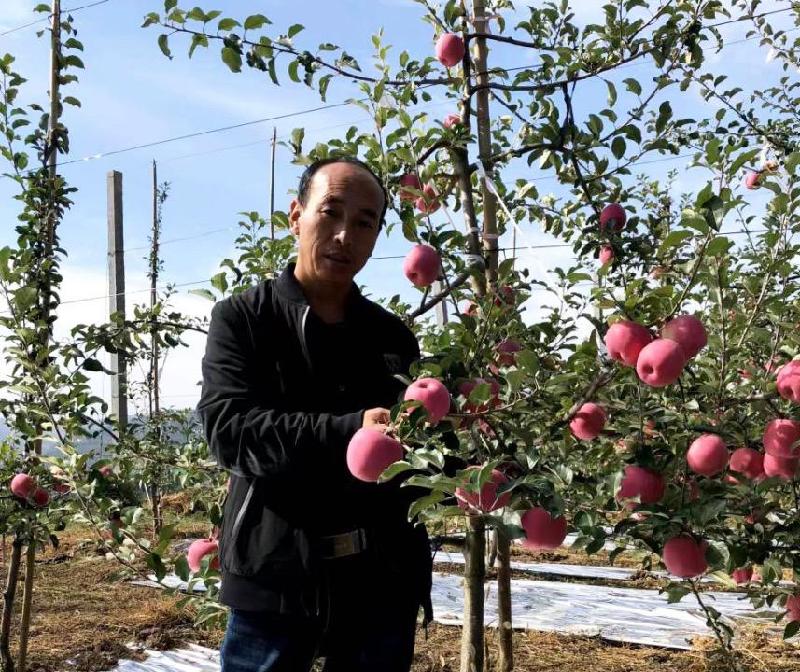 焦玉中：科技撒播果种旺，智慧引领乡村昌