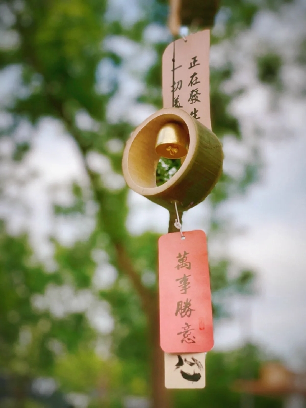 花园城市丨北京人有自己的“莫奈花园”