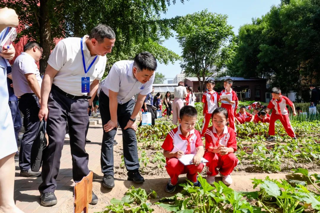 当劳动和科技融合，这场劳动教育现场会让人眼前一亮